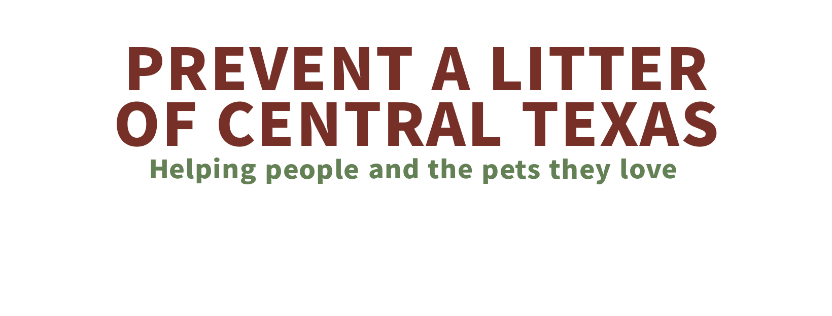 New test calendar Pet Prevent a Litter (PALS) of Central Texas